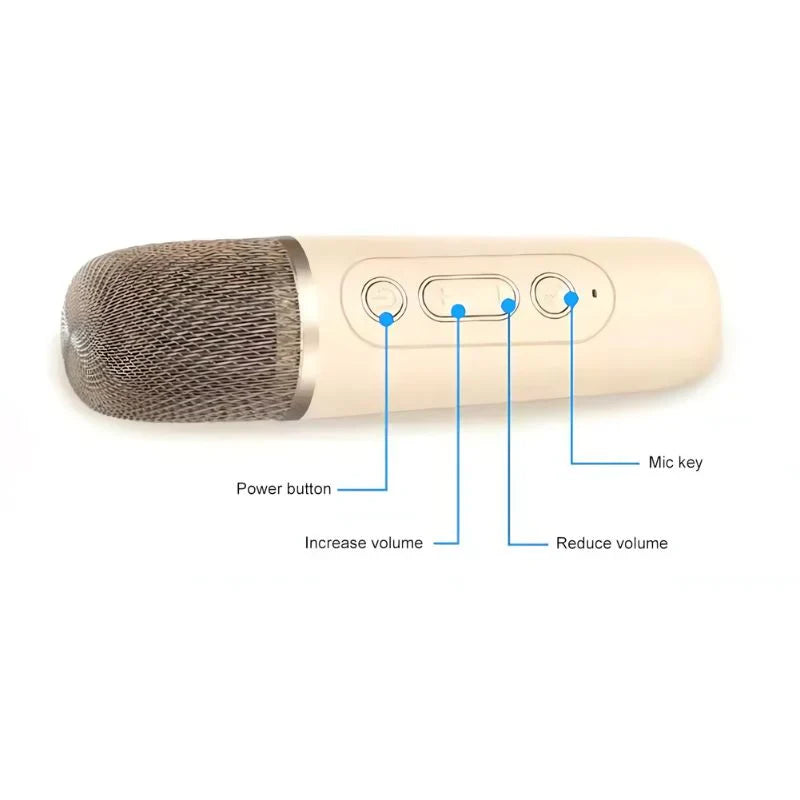 K12 Wireless Karaoke Bluetooth Speaker with Mic - Chic Flicks Store