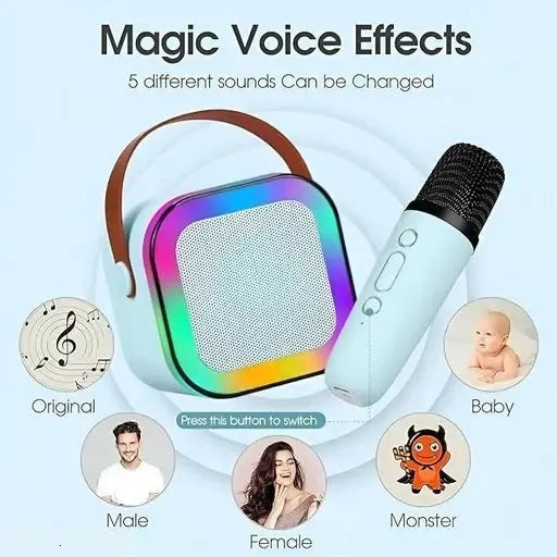 K12 Wireless Karaoke Bluetooth Speaker with Mic - Chic Flicks Store